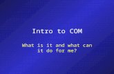 Intro to COM What is it and what can it do for me?