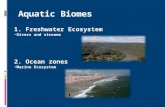 1. Freshwater Ecosystem Rivers and streams Rivers and streams 2. Ocean zones Marine Ecosystem Marine Ecosystem.
