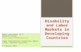 Disability and Labor Markets in Developing Countries Kamal Lamichhane, Ph.D Research Fellow Kamal.Lamichhane@jica.go.jp Japan International Cooperation.