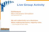 Live Group Activity GoVenture Micro Business Simulation  We will collectively run a business. When making decisions, majority rules. –