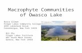 Macrophyte Communities of Owasco Lake Bin Zhu Finger Lakes Institute 601 South Main Street Geneva, New York 14456 Bruce Gilman Finger Lakes Community College.