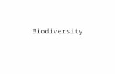 Biodiversity Biological diversity or “Biodiversity” = the sum of the genetically based variety of all organisms in the biosphere Our existence relies.