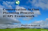 Conservation Action Planning Process (CAP) Framework Project Scope & Targets.