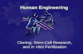 Human Engineering Cloning, Stem-Cell Research, and In Vitro Fertilization.