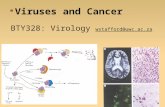 Viruses and Cancer BTY328: Virology wstafford@uwc.ac.za.