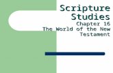 Scripture Studies Chapter 16 The World of the New Testament.