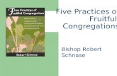 Five Practices of Fruitful Congregations Bishop Robert Schnase.