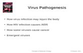 © Elsevier, 2011.Principles of Molecular Virology Virus Pathogenesis How virus infection may injure the body How HIV infection causes AIDS How some viruses.