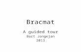 Bracmat A guided tour Bart Jongejan 2013. The name Applications Core Methods Why Bracmat? Code examples Documentation Development Download Finale.