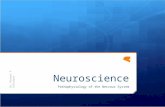 Neuroscience Pathophysiology of the Nervous System Dr. Michael P. Gillespie.