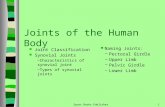 Sport Books Publisher1 Joints of the Human Body Joint Classification Synovial Joints –Characteristics of synovial joint –Types of synovial joints Naming.