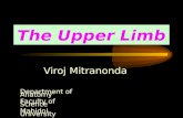 The Upper Limb Viroj Mitranonda Department of Anatomy Faculty of Science Mahidol University.