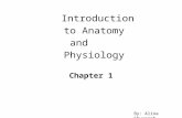 Introduction to Anatomy and Physiology Chapter 1 By: Alina Chyypesh.