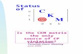 Status of Is the CKM matrix the only source of CP violation? Leo Bellantoni Fermilab Users' Meeting June 2002.