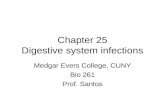 Chapter 25 Digestive system infections Medgar Evers College, CUNY Bio 261 Prof. Santos.