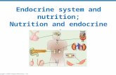 Copyright © 2010 Pearson Education, Inc. Endocrine system and nutrition; Nutrition and endocrine system.