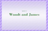 Unit 3. Wilhelm Wundt When Wilhelm Wundt was around 29, he began his investigations into what could be labeled psychology. He was interested in the “personal.
