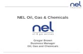 NEL Oil, Gas & Chemicals Gregor Brown Business Manager Oil, Gas and Chemicals.