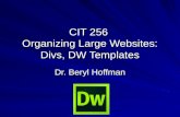 CIT 256 Organizing Large Websites: Divs, DW Templates Dr. Beryl Hoffman.
