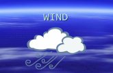 WIND What causes wind? AAAAll winds are caused by differences in air pressure. WWWWind is the horizontal movement of air from an area of high.