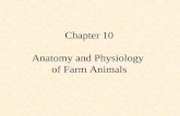 Chapter 10 Anatomy and Physiology of Farm Animals.