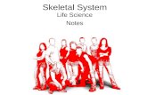 Skeletal System Life Science Notes. Skeletal System Life Science Objectives 2/25/11 1.Complete ‘Bag of Bones’ Activity and turn in. 2.Begin notes on the.