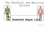 The Skeletal and Muscular Systems LECTURE NOTES. Axial skeleton skull (cranium and facial bones) hyoid bone (anchors tongue and muscles associated with.