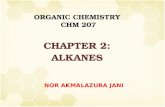 ORGANIC CHEMISTRY CHM 207 CHAPTER 2: ALKANES NOR AKMALAZURA JANI.