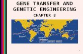 1 GENE TRANSFER AND GENETIC ENGINEERING CHAPTER 8.