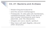 Ch. 27: Bacteria and Archaea  Modern/regular/eubacteria  and the ancient methanogens  Prokaryote  cells with cell membranes, cytoplasm/cytosol, DNA.