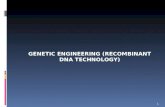 GENETIC ENGINEERING (RECOMBINANT DNA TECHNOLOGY) 1.