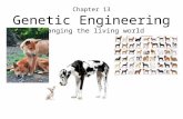 Chapter 13 Genetic Engineering Changing the living world.