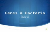 Genes & Bacteria Packet #48 Chapter #18.  The Anatomy of Bacteria.