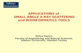 Zehra Sayers Faculty of Engineering and Natural Sciences, Sabanci University, Istanbul Turkey APPLICATIONS of SMALL ANGLE X-RAY SCATTERING and BIOINFORMATICS.