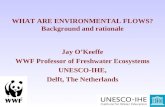 WHAT ARE ENVIRONMENTAL FLOWS? Background and rationale Jay O’Keeffe WWF Professor of Freshwater Ecosystems UNESCO-IHE, Delft, The Netherlands.