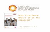 Work Experience: What’s in it for employers? October 2011 Joe Shamash & Kate Shoesmith.