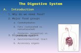 The Digestive System 1.Why do we need food? 2.Major food groups A. Introduction a.Carbohydrates b.Fats (saturated vs. nonsaturated) c.Proteins (essential.