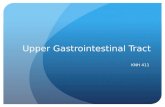 Upper Gastrointestinal Tract KNH 411. Upper GI – A&P Stomach – Motility Stomach can stretch up to a liter (2oz-32oz) Filling, storage, mixing, emptying.