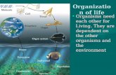 Organization of life Organisms need each other for l.iving. They are dependent on the other organisms and the environmentOrganisms need each other for.