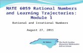 Rational and Irrational Numbers August 27, 2011. Warm-Up Task Life is full of numerical relationships. Think about your own experiences, professional.