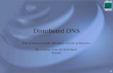 1 Distributed DNS best practices to build redundant, reliable architecture By Ladislav Vobr SE/SOP/I&eS, Etisalat.
