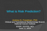 What is Risk Prediction? Andrew N. Freedman, PhD Clinical and Translational Epidemiology Branch National Cancer Institute EGRP, DCCPS, NCI June 11, 2014.
