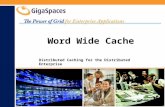 Word Wide Cache Distributed Caching for the Distributed Enterprise.