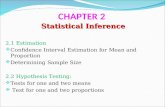CHAPTER 2 Statistical Inference 2.1 Estimation  Confidence Interval Estimation for Mean and Proportion  Determining Sample Size 2.2 Hypothesis Testing: