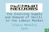 The Evolving Supply and Demand of Skills in the Labour Market Ilaria Maselli CEPS.