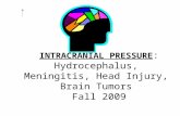 INTRACRANIAL PRESSURE : Hydrocephalus, Meningitis, Head Injury, Brain Tumors Fall 2009.