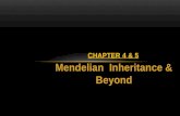Mendelian Inheritance & Beyond CHAPTER 4 & 5. INHERITANCE We marvel at physical resemblances, as well as at talents, interests, and quirks that seem to.