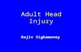 Adult Head Injury Rajiv Sighamoney. Objectives To have a knowledge and understanding of types of Head Injury (HI)