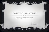 SOIL DEGRADATION Impacting The Environment Mr. Stewart.