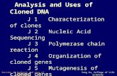 Section J: Analysis and uses of cloned genesYang Xu, College of Life Sciences Section J Analysis and Uses of Cloned DNA J 1 Characterization of clones.